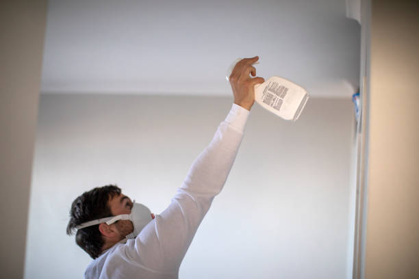 Best Mold Testing  in Warm Mineral Springs, FL