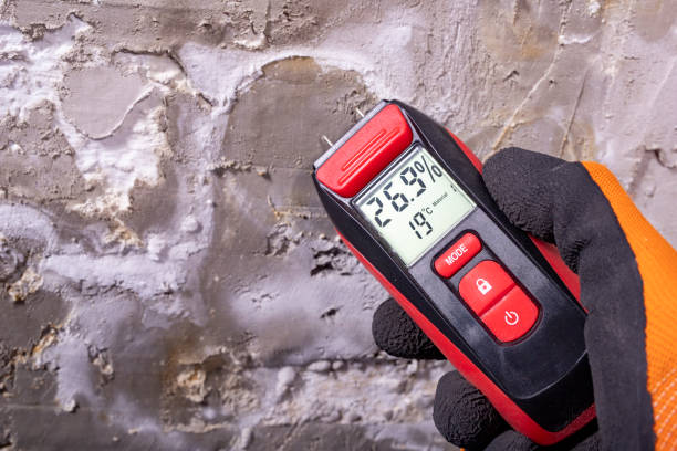 Home Mold Removal in Warm Mineral Springs, FL